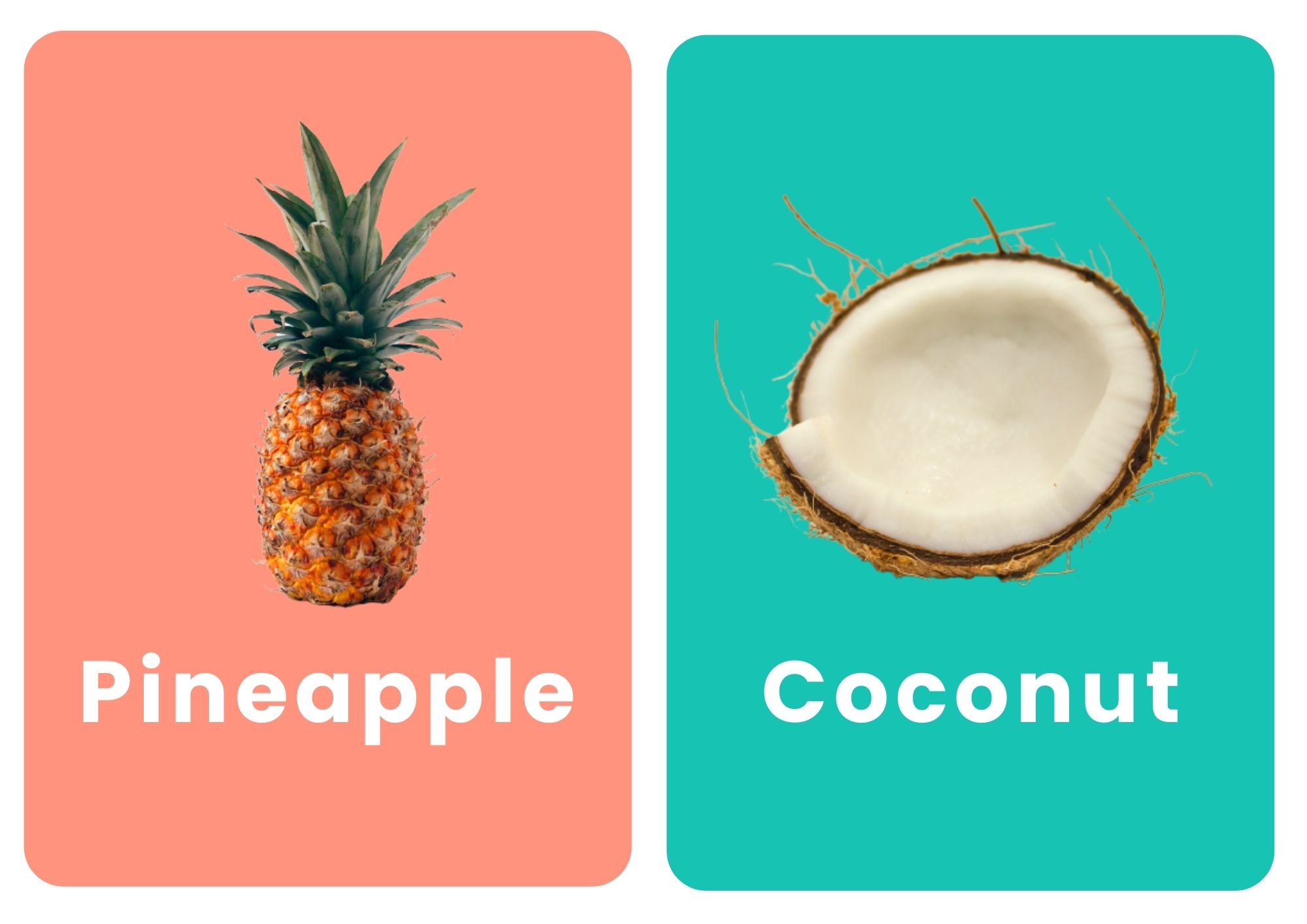 карточки фруктов на английском ананас кокос