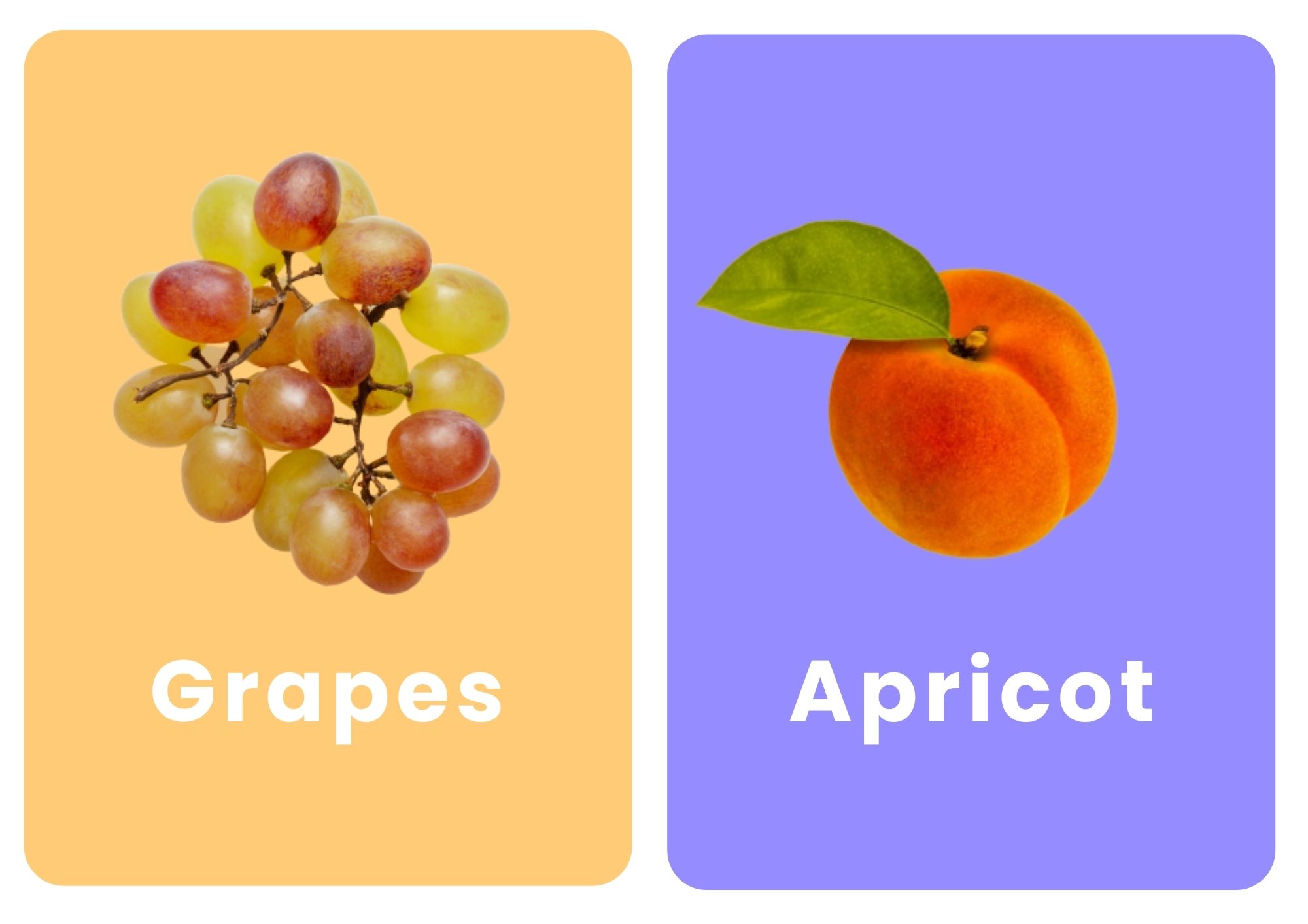 карточки фруктов на английском виноград абрикос